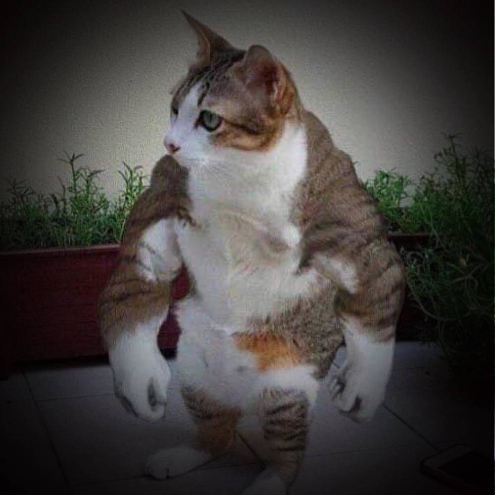 Meet your Posher, Griselda